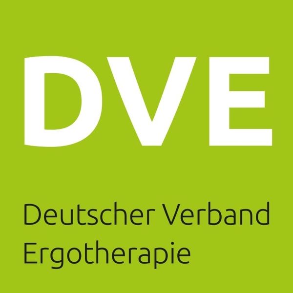 DVE Logo